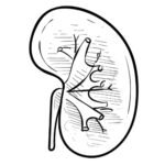 Dr. med. Matthias Orberger